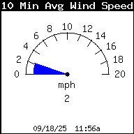 10 Minute Average Wind Speed