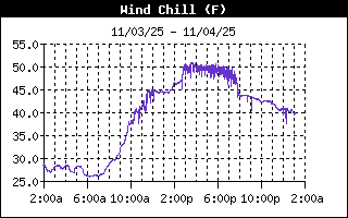 Wind Chill Index History